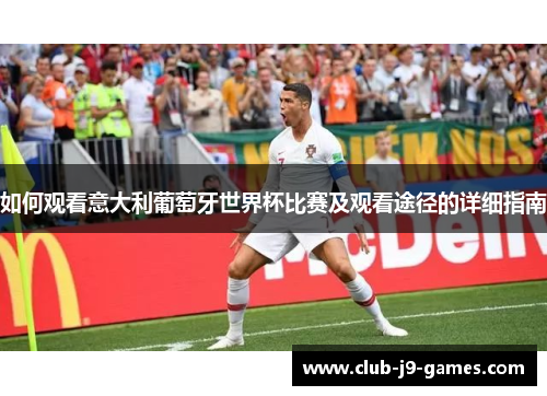 如何观看意大利葡萄牙世界杯比赛及观看途径的详细指南