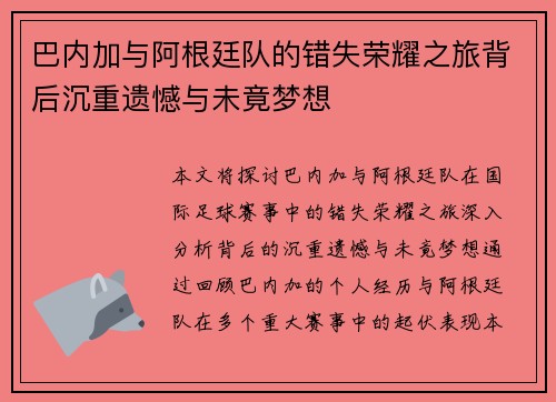巴内加与阿根廷队的错失荣耀之旅背后沉重遗憾与未竟梦想