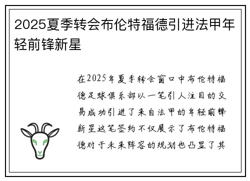 2025夏季转会布伦特福德引进法甲年轻前锋新星